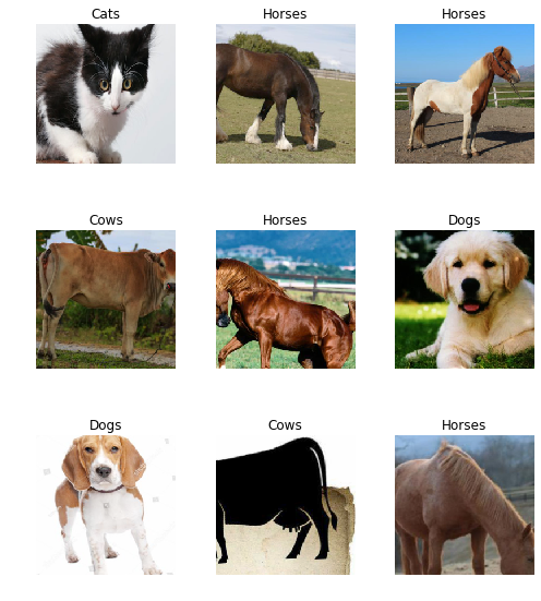 Random batch of images