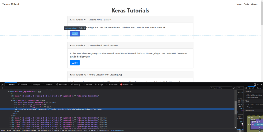 Inspecting website