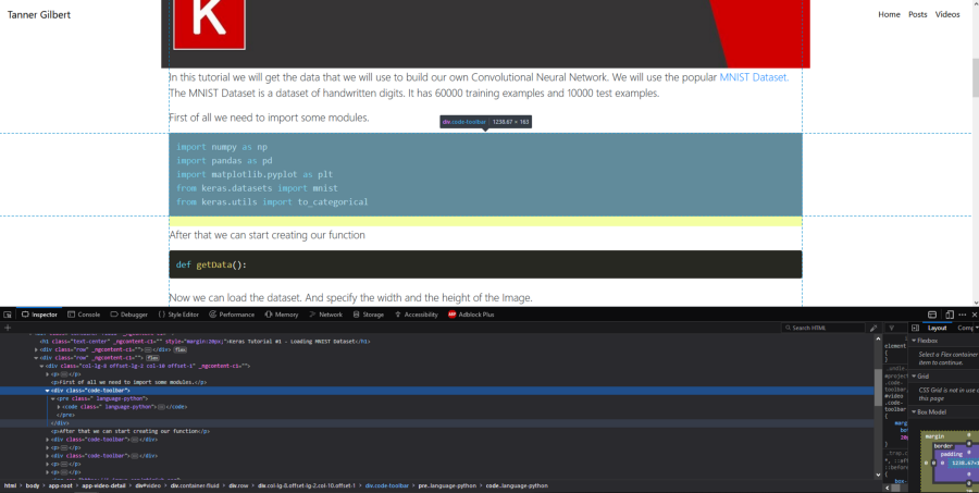Inspecting website