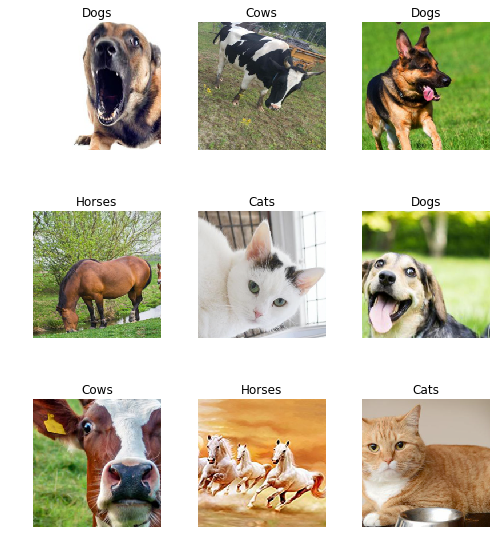 Random batch of images