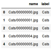 CSV Structure