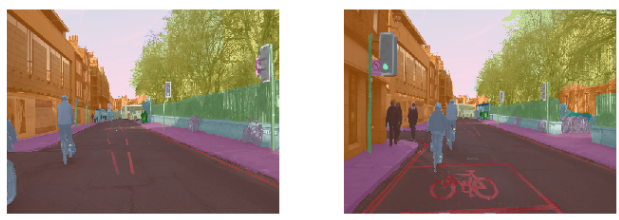 Examples with segmentation overlay